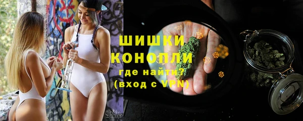 сатива Балабаново