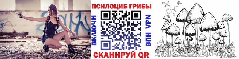 Галлюциногенные грибы MAGIC MUSHROOMS  KRAKEN сайт  Новоалександровск 
